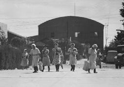 Japanese Cannery Workers, Terminal Island